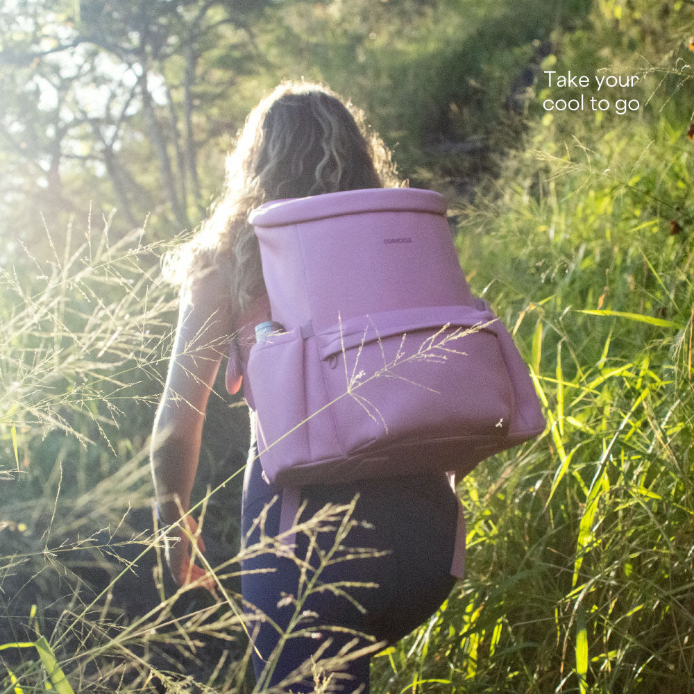 lotus-backpack-cooler-i8 3a3b2871ba7e--Lotus-PDP8.jpg
