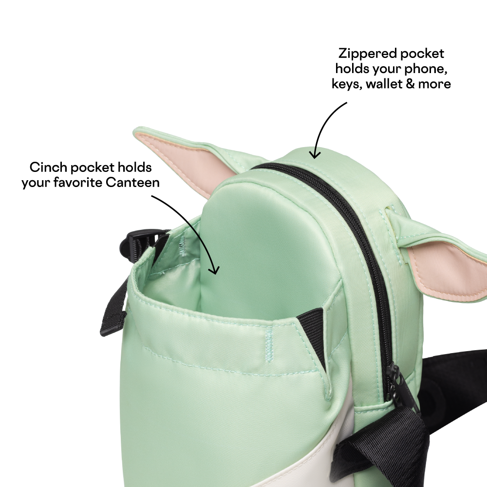 disney-sling-w0 53593b3e49e2--Sling-PDP-4.png