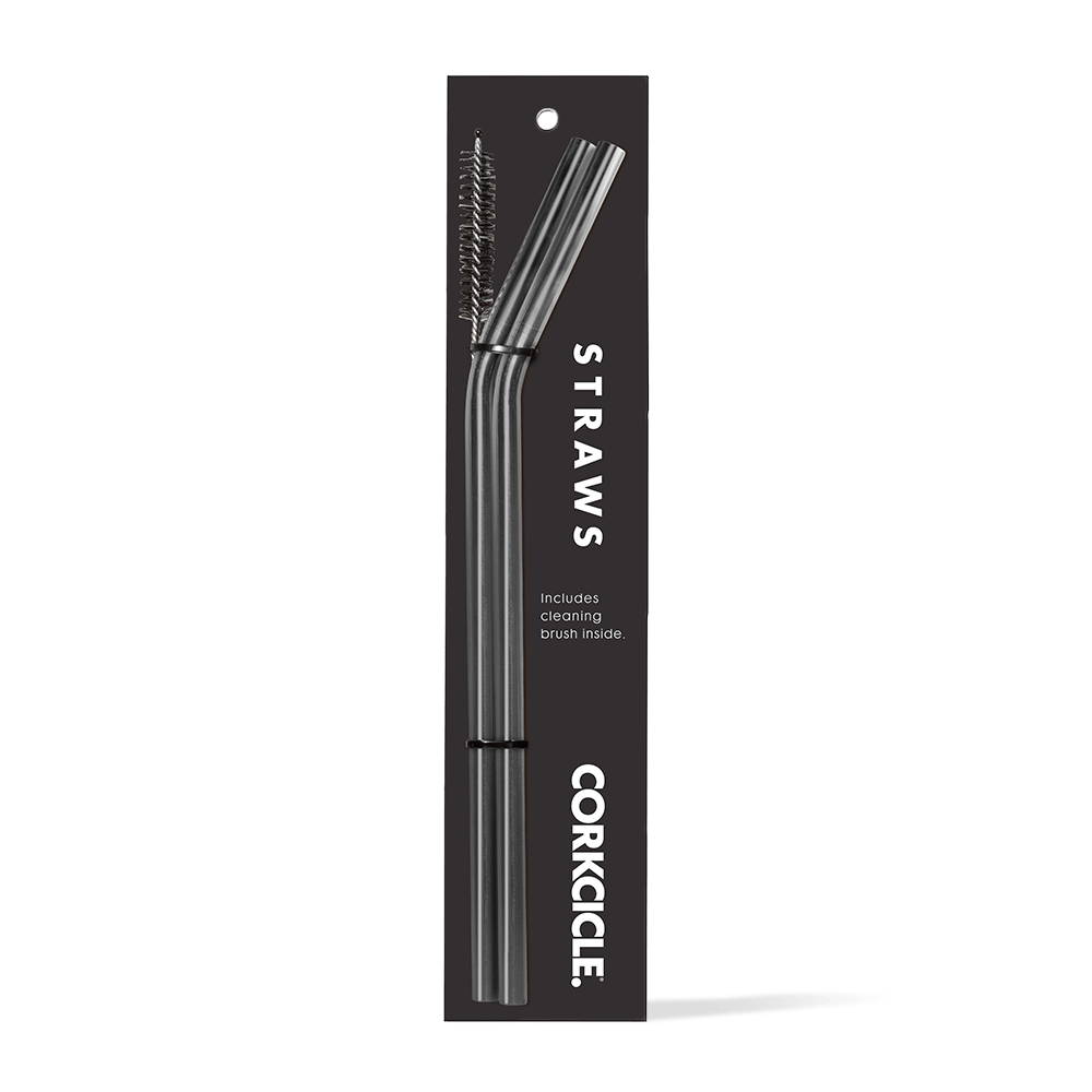 tumbler-straw-2-pack-d9 gunmetal.png